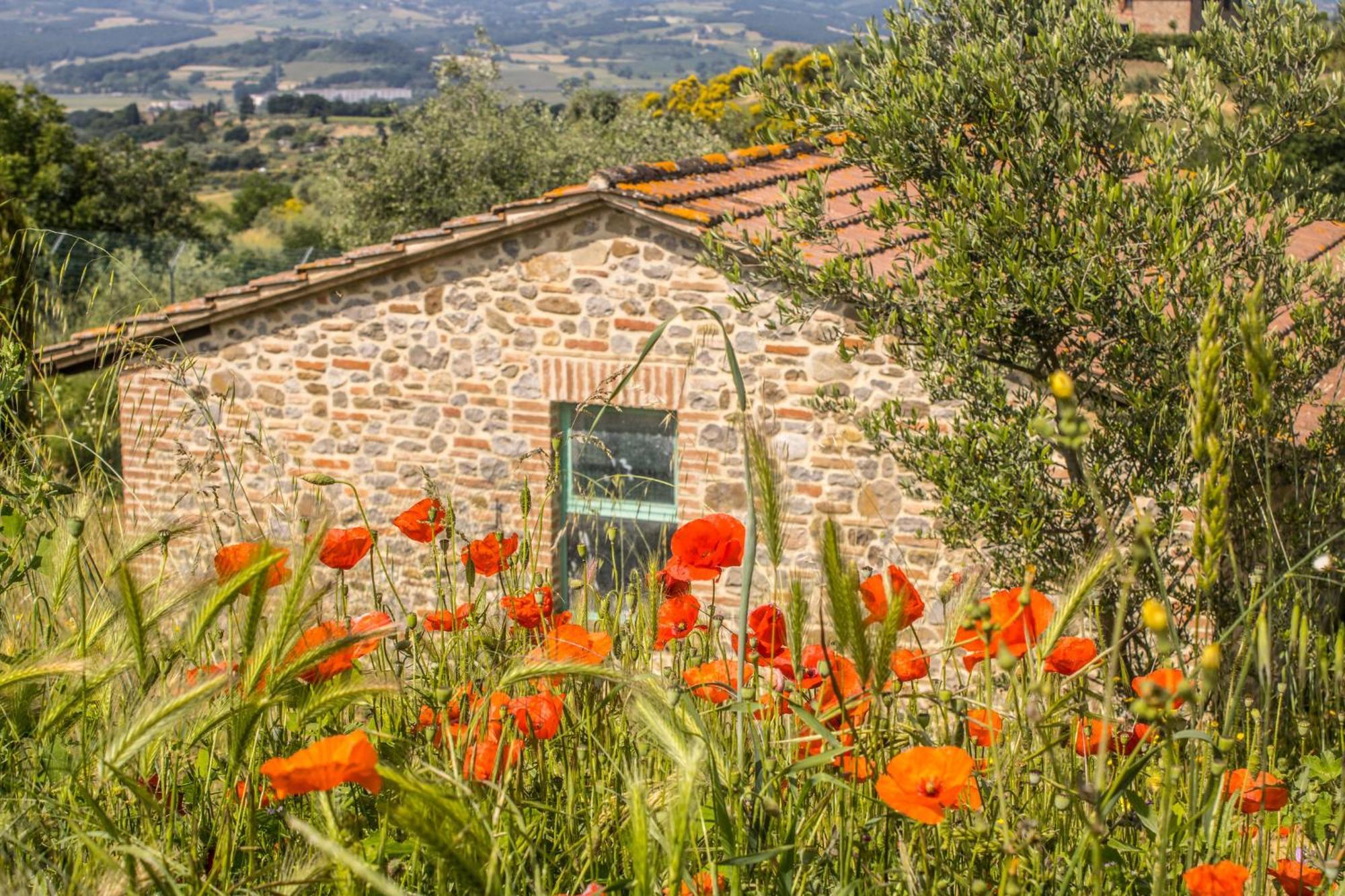 Agriturismo Dandelion Citta della Pieve Ngoại thất bức ảnh