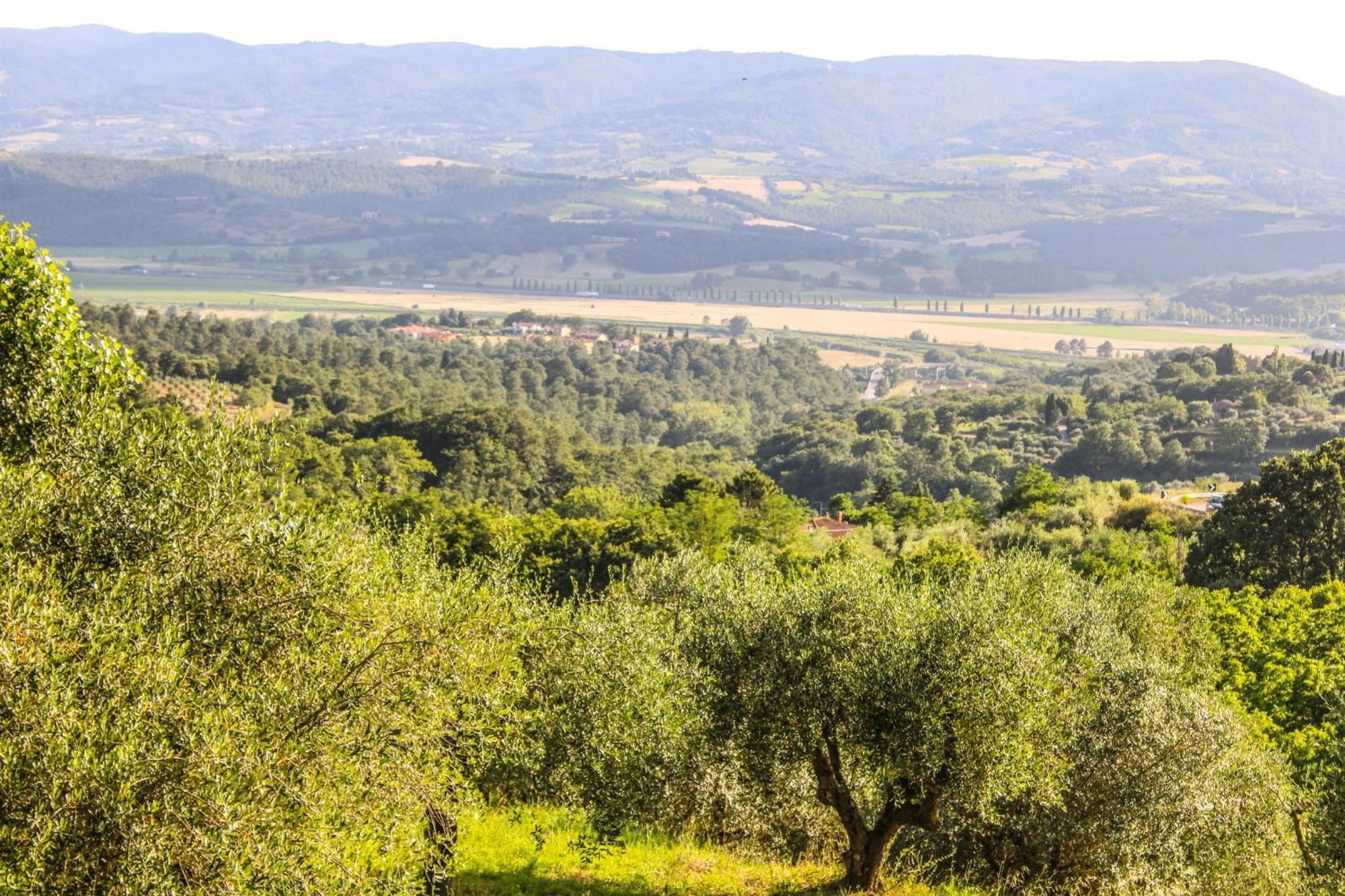 Agriturismo Dandelion Citta della Pieve Ngoại thất bức ảnh